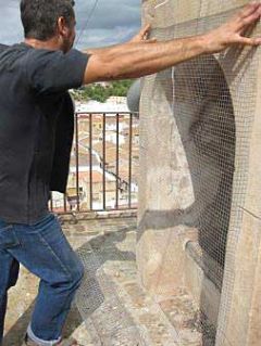 Un operario coloca una tela metálica en los accesos a la iglesia de Petrés para impedir que las palomas entren. 